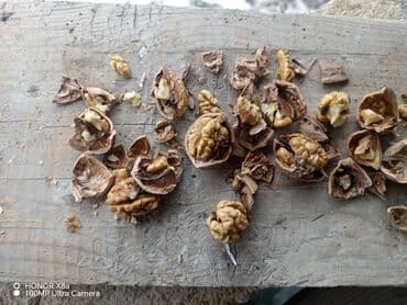 Yerli qarışığ qoz satılır isdiyən buyursun qiymət 3.70 di orda nögtə lalafo.az -da Yerli qarışığ qoz satılır isdiyən buyursun qiymət 3.70 di orda nögtə