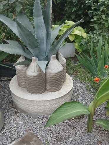 Aqava bitkisi adi və decor qablarda(əl iṣi), müxtəlif olçüdə və lalafo.az -da Aqava bitkisi adi və decor qablarda(əl iṣi), müxtəlif olçüdə və