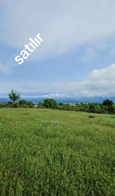 7 sot, Tikinti, Mülkiyyətçi, Kupça (Çıxarış) lalafo.az -da 7 sot, Tikinti, Mülkiyyətçi, Kupça (Çıxarış)