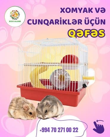 Xamyak və cunqarik qəfəsi. N156 Xomyak ve cunqarikleriniz üçün maraqlı lalafo.az -da Xamyak və cunqarik qəfəsi. N156 Xomyak ve cunqarikleriniz üçün maraqlı