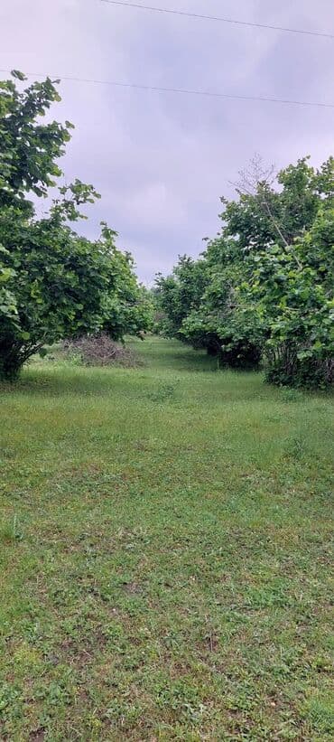 6 sot, Tikinti, Mülkiyyətçi, Kupça (Çıxarış) lalafo.az -da 6 sot, Tikinti, Mülkiyyətçi, Kupça (Çıxarış)