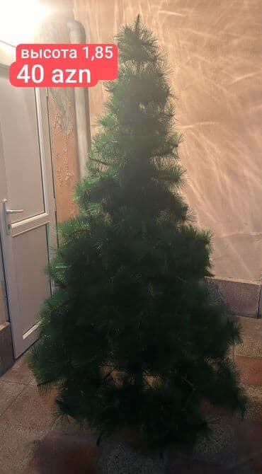 Süni Yeni il şam ağacı - Hündürlük: 1,85 m (şəkildə qeyd edilib) - lalafo.az -da Süni Yeni il şam ağacı - Hündürlük: 1,85 m (şəkildə qeyd edilib) -