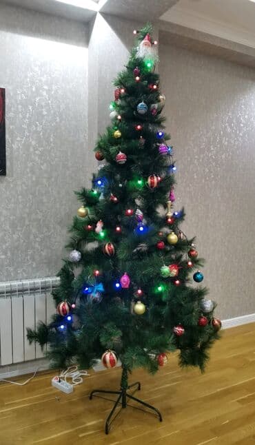 Şam ağacı, yaxşı vəziyyətdədir. Hündürlüyü 2m-dən çox, oyuncaqlarsız lalafo.az -da Şam ağacı, yaxşı vəziyyətdədir. Hündürlüyü 2m-dən çox, oyuncaqlarsız