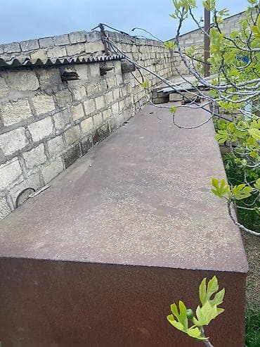 Böyuk 13 ton 7 metir uzunu 1.50 eni Maşın cəni 4.200 ton Ünvan lalafo.az -da Böyuk 13 ton 7 metir uzunu 1.50 eni Maşın cəni 4.200 ton Ünvan