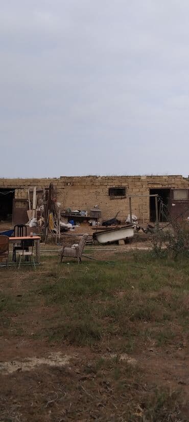 Kənd təsərrüfatı lalafo.az -da Kənd təsərrüfatı