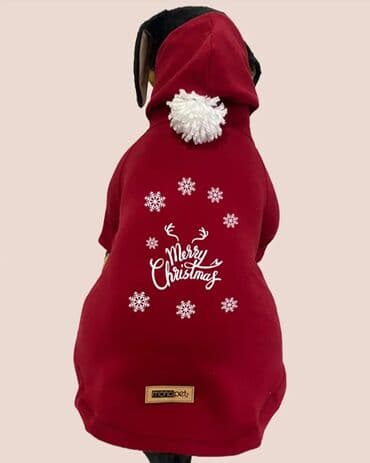 1 il, Erkek lalafo.az -da 1 il, Erkek