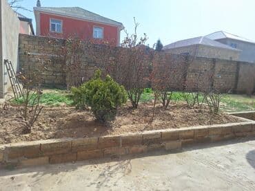 6 otaqlı, Yeni tikili, 250 kv. m lalafo.az -da — 23 6 otaqlı, Yeni tikili, 250 kv. m — 23