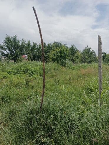 12 sot, Kənd təsərrüfatı, Mülkiyyətçi, Kupça (Çıxarış) lalafo.az -da 12 sot, Kənd təsərrüfatı, Mülkiyyətçi, Kupça (Çıxarış)