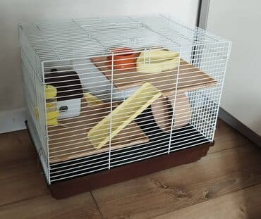 Dağsıcanları saxlamaq üçün əla qəfəsdir. Uzunluq 46sm / Eni 37sm / lalafo.az -da Dağsıcanları saxlamaq üçün əla qəfəsdir. Uzunluq 46sm / Eni 37sm /