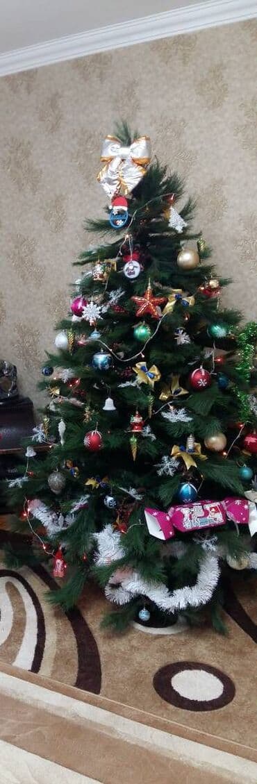 2.60 hundurluyunde yolka satilir.Oyuncaqlar daxil 130m lalafo.az -da 2.60 hundurluyunde yolka satilir.Oyuncaqlar daxil 130m