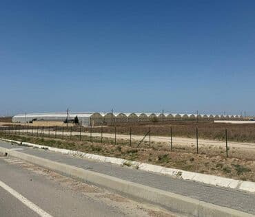 Möhtəşəm Fürsət! Fatmayı qəsəbəsində Tam Təhciz Olunmuş İstixana lalafo.az -da Möhtəşəm Fürsət! Fatmayı qəsəbəsində Tam Təhciz Olunmuş İstixana