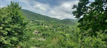 12 sot, Mülkiyyətçi, Kupça (Çıxarış) lalafo.az -da 12 sot, Mülkiyyətçi, Kupça (Çıxarış)