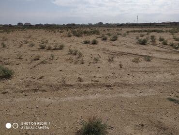 5 sot, Kənd təsərrüfatı, Kupça (Çıxarış) lalafo.az -da 5 sot, Kənd təsərrüfatı, Kupça (Çıxarış)