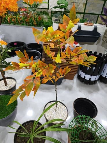 Dekorativ süni bitki – payız rənglərində yarpaqlı ağac - Realistik lalafo.az -da Dekorativ süni bitki – payız rənglərində yarpaqlı ağac - Realistik