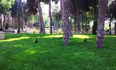 İş axtarıram bağban işi razılaşma yolu ilə lalafo.az -da İş axtarıram bağban işi razılaşma yolu ilə