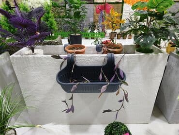 İki tərəfli balkon asma dibçəyi – barmaqlıq və ya divar kənarına lalafo.az -da İki tərəfli balkon asma dibçəyi – barmaqlıq və ya divar kənarına