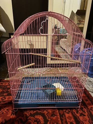 Böyük quş qəfəsi 30 azn,balaca 10 azn.Sudən qabları lalafo.az -da Böyük quş qəfəsi 30 azn,balaca 10 azn.Sudən qabları