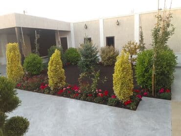 Anbar: Bağban axran işderi axtarıram bağa ayid bütün işlər işdəyirəm qazon lalafo.az -da — 2 Anbar: Bağban axran işderi axtarıram bağa ayid bütün işlər işdəyirəm qazon — 2