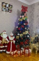 Tam bəzədilmiş yolka satılır! Qızılı və qırmızı bantlarla,işıqları lalafo.az -da Tam bəzədilmiş yolka satılır! Qızılı və qırmızı bantlarla,işıqları