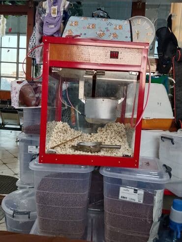 ПО для бизнеса: Təcili satılır popkorum üçün at lalafo.az — 1 ПО для бизнеса: Təcili satılır popkorum üçün — 1