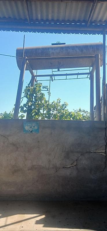 Su cəni satılır çox qalın stekası var ayaqları ilə birlikdədə satılır lalafo.az -da Su cəni satılır çox qalın stekası var ayaqları ilə birlikdədə satılır
