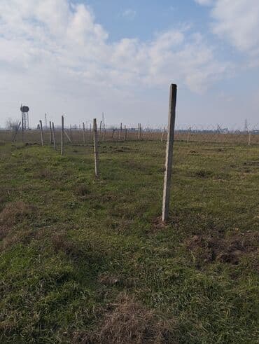 8 sot, Kənd təsərrüfatı, Mülkiyyətçi, Kupça (Çıxarış) lalafo.az -da 8 sot, Kənd təsərrüfatı, Mülkiyyətçi, Kupça (Çıxarış)