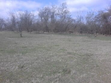 10 sot, Tikinti, Mülkiyyətçi, Kupça (Çıxarış) lalafo.az -da 10 sot, Tikinti, Mülkiyyətçi, Kupça (Çıxarış)