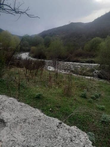 Kənd təsərrüfatı lalafo.az -da Kənd təsərrüfatı