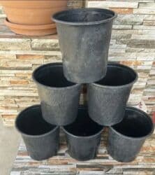 Gül və dibçək qabları satılır.Plastik,kauçuk materyaldır.Sayı 50 lalafo.az -da Gül və dibçək qabları satılır.Plastik,kauçuk materyaldır.Sayı 50