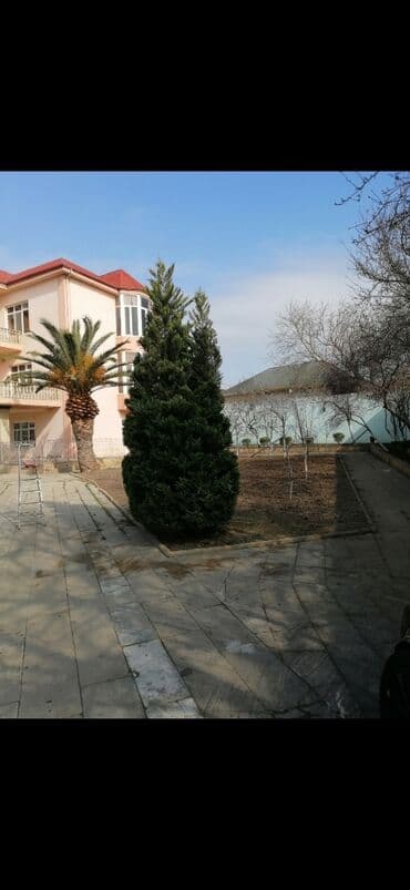 Gözəllik Salonları: Bağban, 44 yaş, 5 ildən artıq təcrübə lalafo.az -da — 7 Gözəllik Salonları: Bağban, 44 yaş, 5 ildən artıq təcrübə — 7