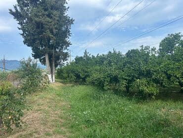 35 sot, Kənd təsərrüfatı, Mülkiyyətçi, Kupça (Çıxarış) lalafo.az -da 35 sot, Kənd təsərrüfatı, Mülkiyyətçi, Kupça (Çıxarış)