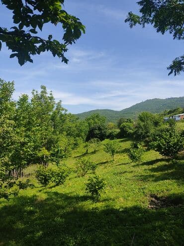 İsmayıllı, 80 kv. m, 2 otaqlı, Hovuzsuz, Telefon, İnternet, İşıq lalafo.az -da İsmayıllı, 80 kv. m, 2 otaqlı, Hovuzsuz, Telefon, İnternet, İşıq