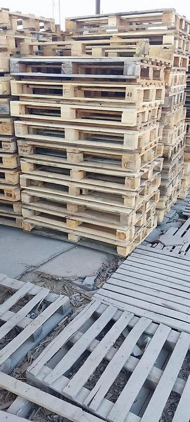 Pallet, 800 х 1200 sm lalafo.az -da Pallet, 800 х 1200 sm