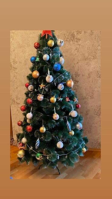 Yolka. 90man. Olcu 2m.Yaxsi veziyyetdedi.Ustunde isiqlar oyuncaqlar lalafo.az -da Yolka. 90man. Olcu 2m.Yaxsi veziyyetdedi.Ustunde isiqlar oyuncaqlar