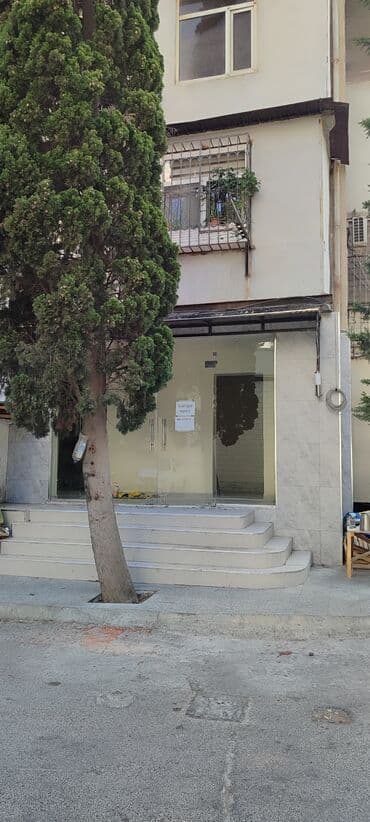 Офисы: İcarəyə obyekt təklif olunur – çox gedişli-gəlişli ərazidədir! Yol at lalafo.az — 2 Офисы: İcarəyə obyekt təklif olunur – çox gedişli-gəlişli ərazidədir! Yol — 2