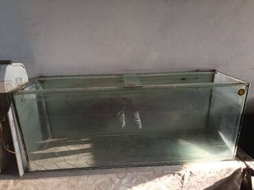 Tutumu 400L akvarium,
Mağaza deyil lalafo.az -da Tutumu 400L akvarium,
Mağaza deyil