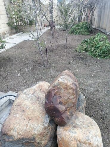 Gözəllik Salonları: Bağban, 44 yaş, 5 ildən artıq təcrübə lalafo.az -da — 1 Gözəllik Salonları: Bağban, 44 yaş, 5 ildən artıq təcrübə — 1