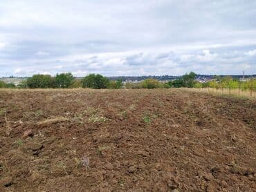 40 sot, Mülkiyyətçi, Kupça (Çıxarış) lalafo.az -da 40 sot, Mülkiyyətçi, Kupça (Çıxarış)