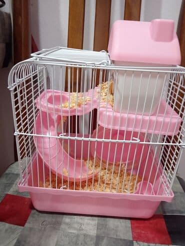 Лекарства для животных: Hamster üçün tam dəst qəfəs - Rəng: açıq çəhrayı/ağ - Korpus: möhkəm at lalafo.az — 3 Лекарства для животных: Hamster üçün tam dəst qəfəs - Rəng: açıq çəhrayı/ağ - Korpus: möhkəm — 3