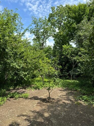 10 sot, Tikinti, Mülkiyyətçi, Bələdiyyə lalafo.az -da 10 sot, Tikinti, Mülkiyyətçi, Bələdiyyə