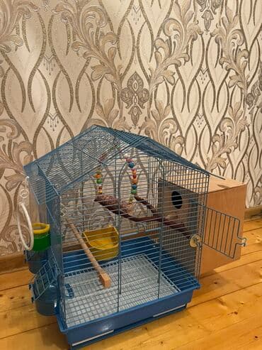 Tam dəst quş qəfəsi - Metall konstruksiyalı, dam formalı mavi qəfəs lalafo.az -da Tam dəst quş qəfəsi - Metall konstruksiyalı, dam formalı mavi qəfəs