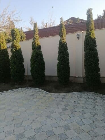 Tikiş: Bağban, 44 yaş, 5 ildən artıq təcrübə lalafo.az -da — 4 Tikiş: Bağban, 44 yaş, 5 ildən artıq təcrübə — 4