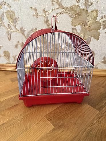 Heç bir pırablemi yoxdu lalafo.az -da Heç bir pırablemi yoxdu