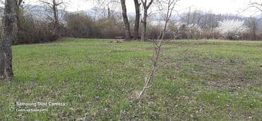 25 sot, Kənd təsərrüfatı, Mülkiyyətçi, Kupça (Çıxarış) lalafo.az -da 25 sot, Kənd təsərrüfatı, Mülkiyyətçi, Kupça (Çıxarış)