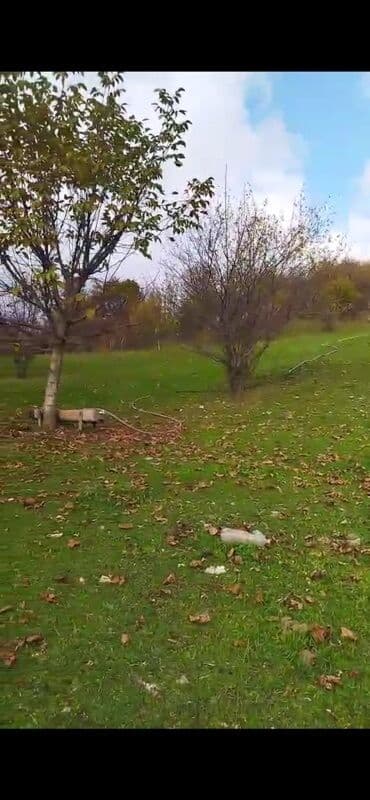 Гаражи: Для сельского хозяйства at lalafo.az — 3 Гаражи: Для сельского хозяйства — 3