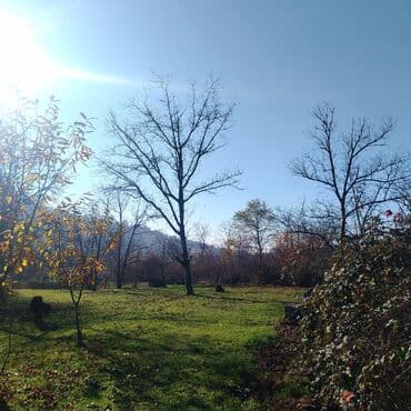 12 sot, Mülkiyyətçi, Kupça (Çıxarış) lalafo.az -da 12 sot, Mülkiyyətçi, Kupça (Çıxarış)