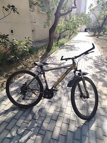 Velosiped – SUPER CROSS dağ velosipedi - Gödəkçə: yüngül at lalafo.az Velosiped – SUPER CROSS dağ velosipedi - Gödəkçə: yüngül
