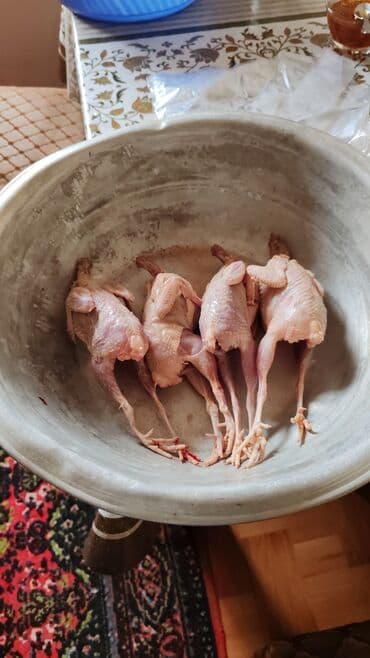 Рыба и морепродукты: Təmiz, kənd təsərrüfatı məhsulları: - Evdə saxlanılan toyuq sürüsü – at lalafo.az — 4 Рыба и морепродукты: Təmiz, kənd təsərrüfatı məhsulları: - Evdə saxlanılan toyuq sürüsü – — 4