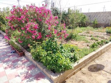 8 otaq, 300 kv. m, Kredit yoxdur, Orta təmir lalafo.az -da — 4 8 otaq, 300 kv. m, Kredit yoxdur, Orta təmir — 4