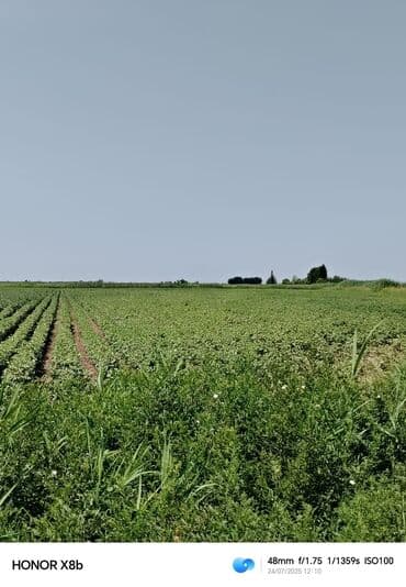 24ha şəxsi mülkiyyət torpaq.suyu başının üsdə lalafo.az -da 24ha şəxsi mülkiyyət torpaq.suyu başının üsdə